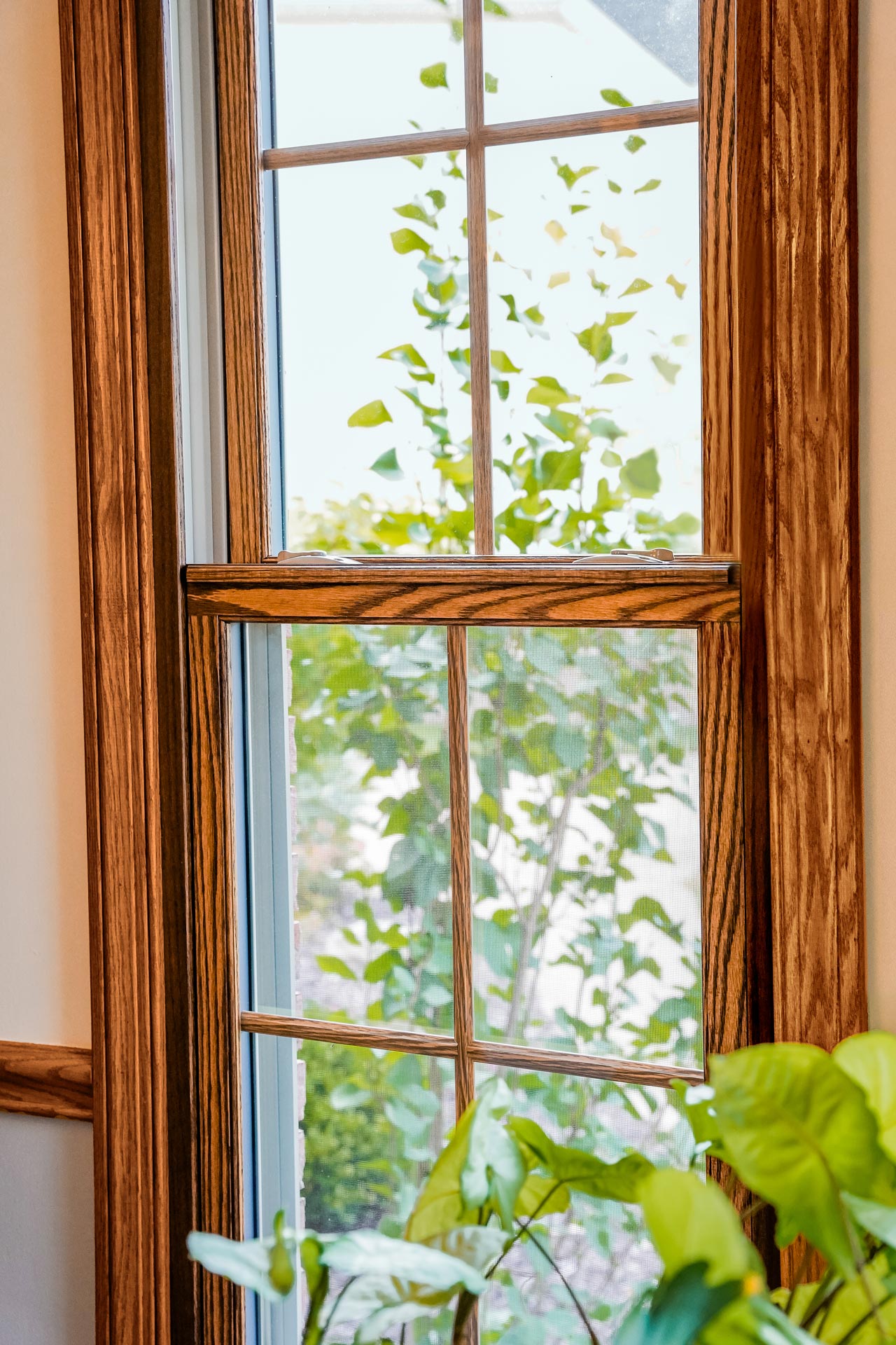 Aeris™ Double Hung Window in Caramel with Colonial Grids