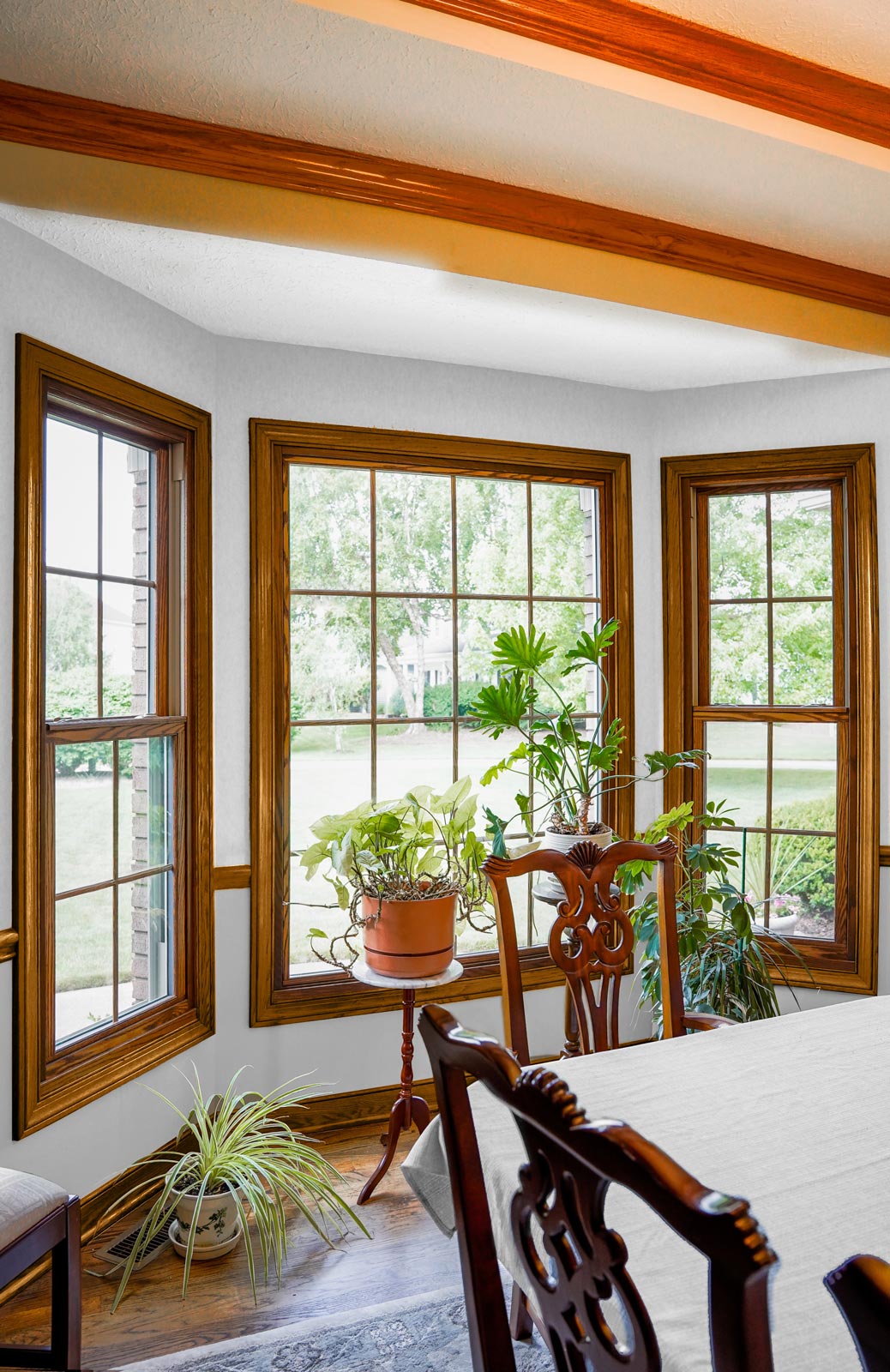 Aeris™ Double Hung and Picture Windows in Caramel with Colonial Grids