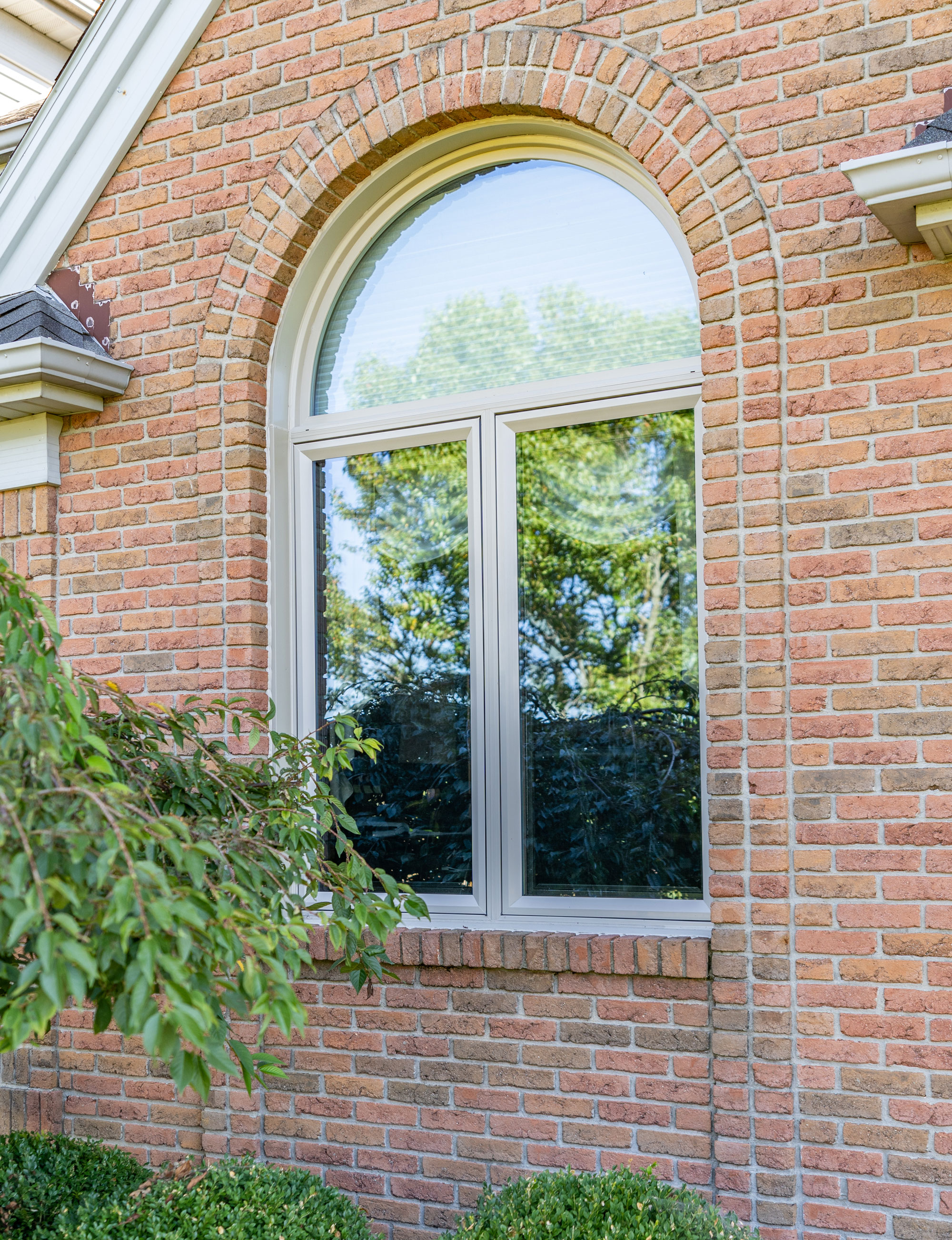 Aeris™ Shaped Window in Beige