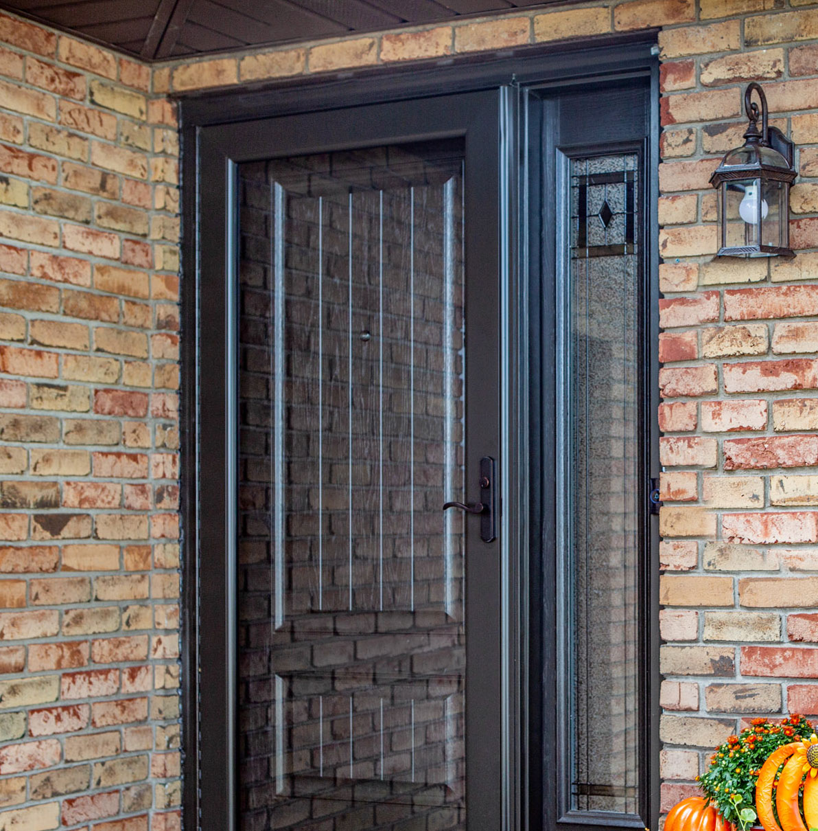 Decorator™ 590 Storm Door in Rustic Bronze