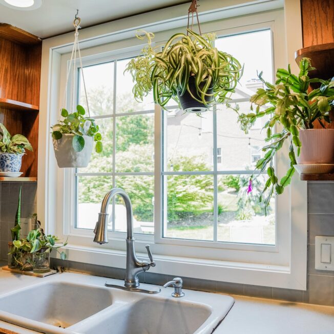 {Inside view of an Endure™ Slider Window in White in a kitchen with plants hanging in the window}