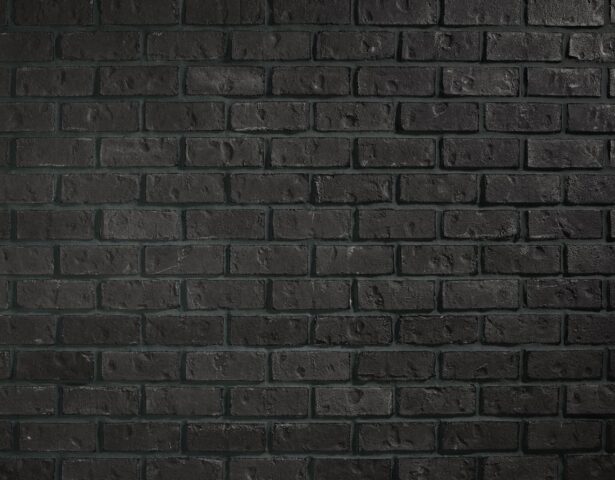 ProVia Thin Brick veneer in Midnight with black grout