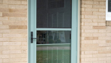 {Spectrum™ 291 Storm Door in Eucalyptus}