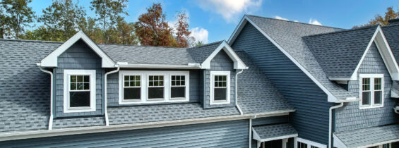 {Aspect™ Double Hung Windows in White}