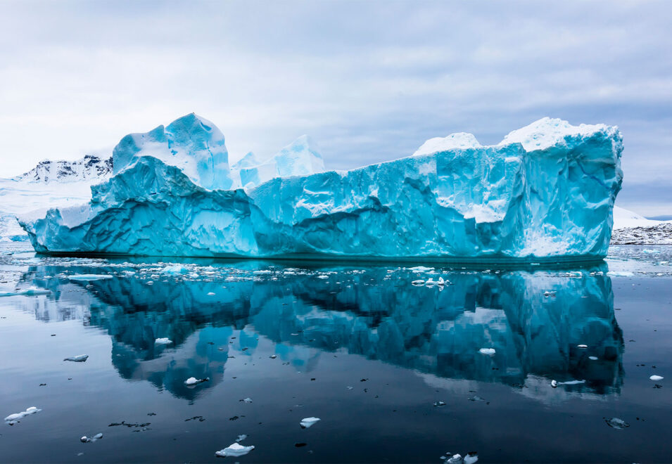 {Iceberg}