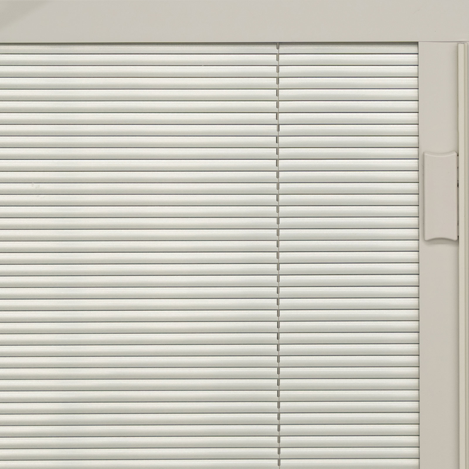 Champagne Internal Blinds