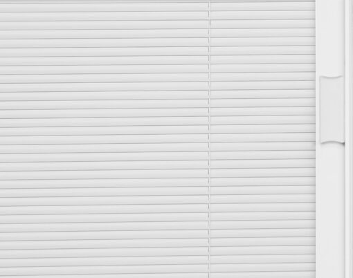 {Closeup view of exterior door with blinds in the color White}