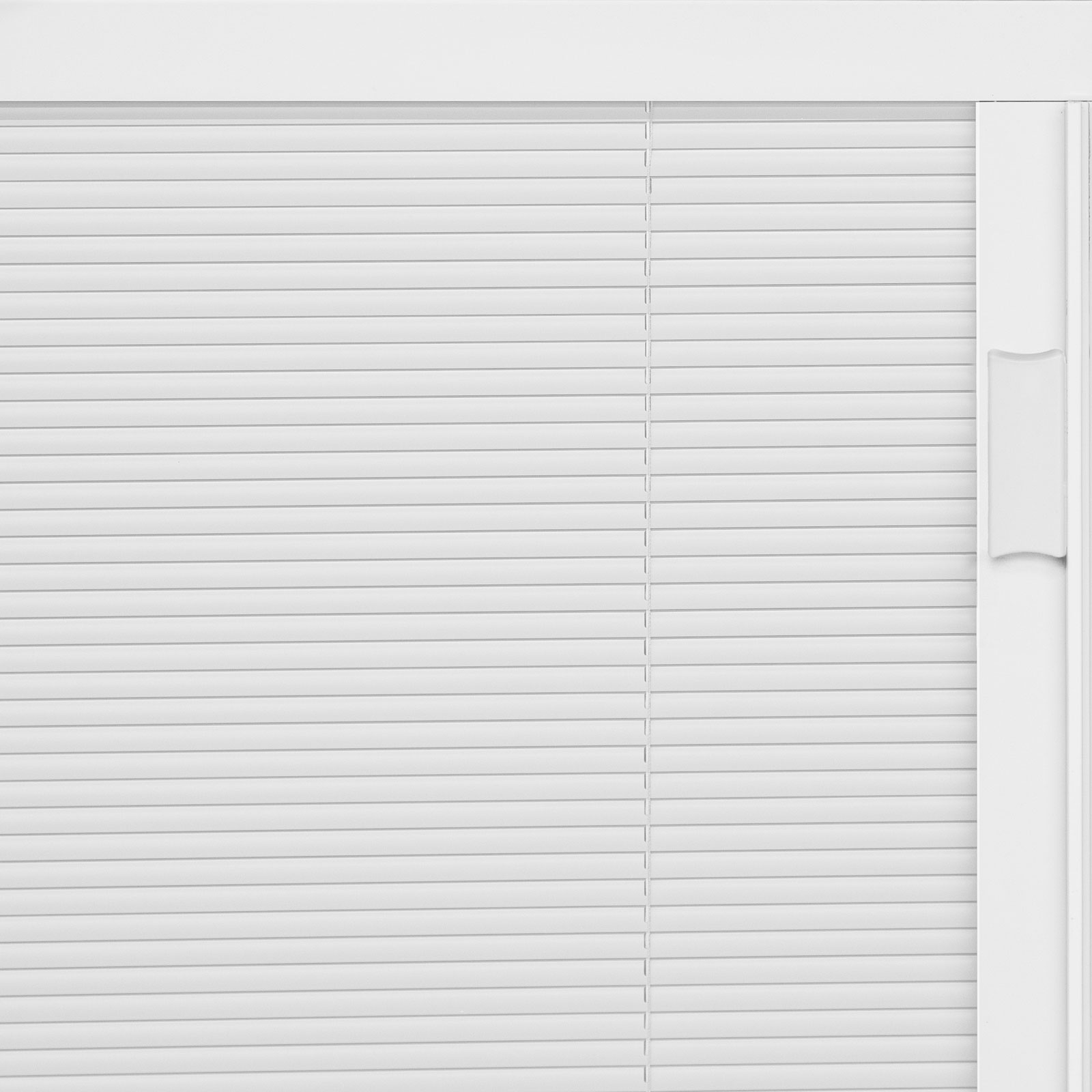 White Internal Blinds