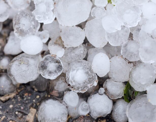 Image of large pieces of hail on the ground