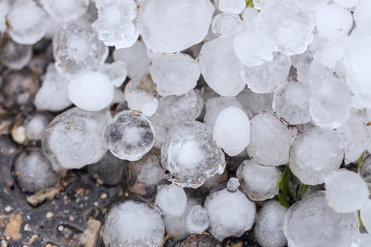 Image of large pieces of hail on the ground