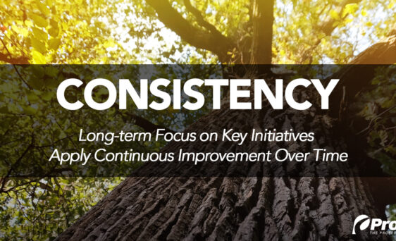 {A graphic of a tree with the words, "consistency: long-term focus on key initiatives apply continuous improvement over time}
