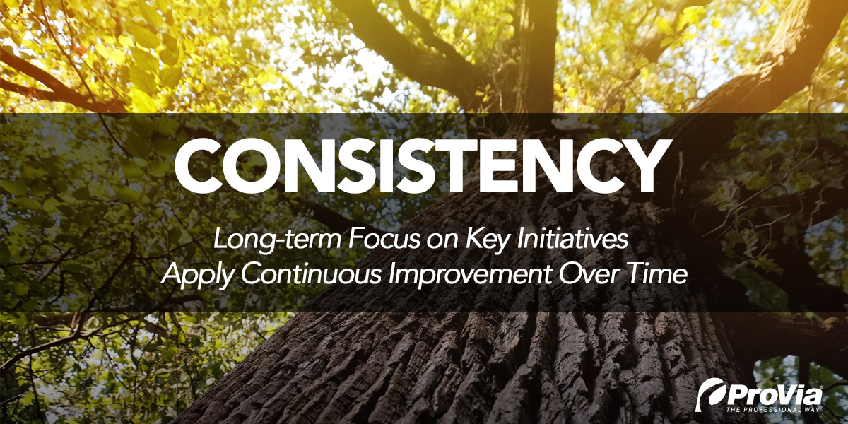 {A graphic of a tree with the words, "consistency: long-term focus on key initiatives apply continuous improvement over time}