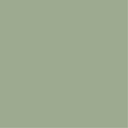 Pistachio Paint