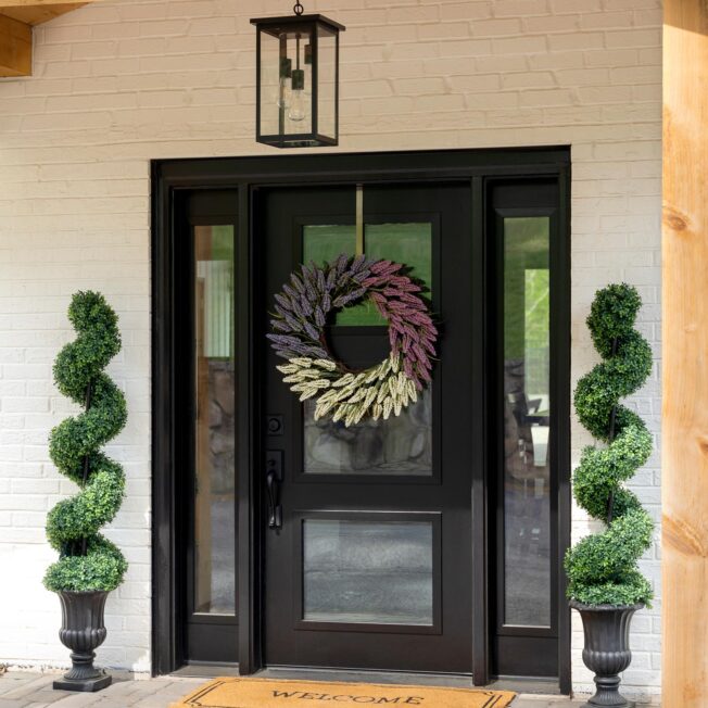 Exterior view of a ProVia® Signet® Smooth 113 Entry Door with 160 Sidelites in Coal Black