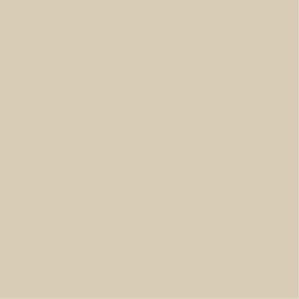 Toasted Coconut Paint