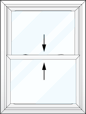 Line art illustration of a ProVia® double hung window