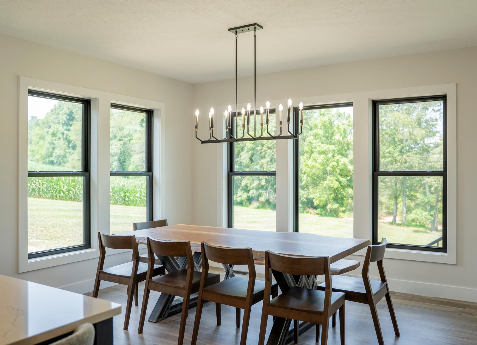 Endure™ Double Hung and Picture Windows in Textured Matte Coal Black
