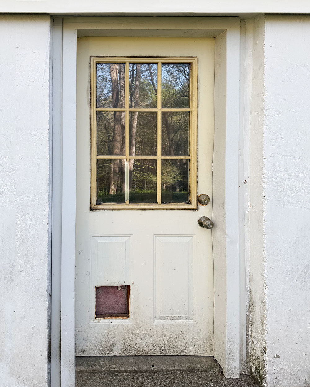Keenan S. Legacy™ 002 Doors in Sterling Gray Before